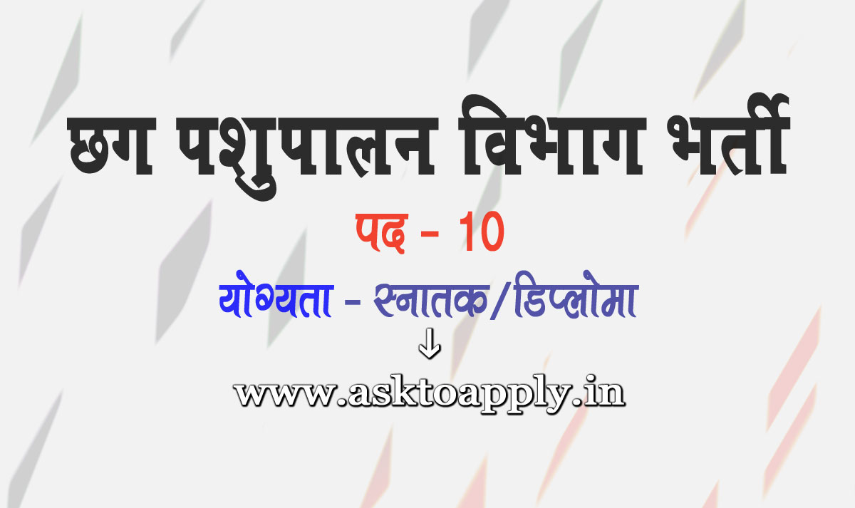Asktoapply.in Provide Latest Chhattisgarh Govt Jobs Apply Form on Cg Pashudhan Vibhag Recruitment 2022 Veterinary Assistant Chhattisgarh Pashupalan Vibhag Bijapur Vacancy Employment News  